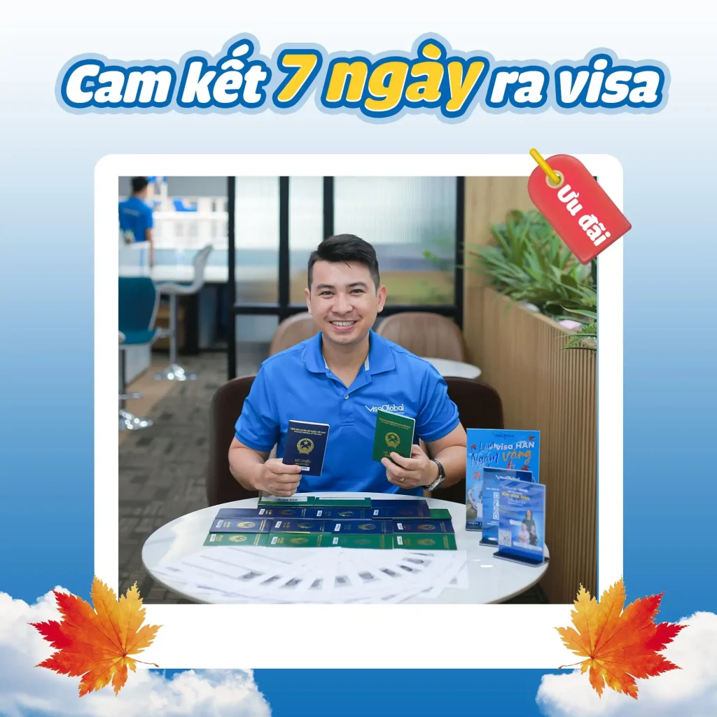 Kiểm tra tỷ lệ đậu visa