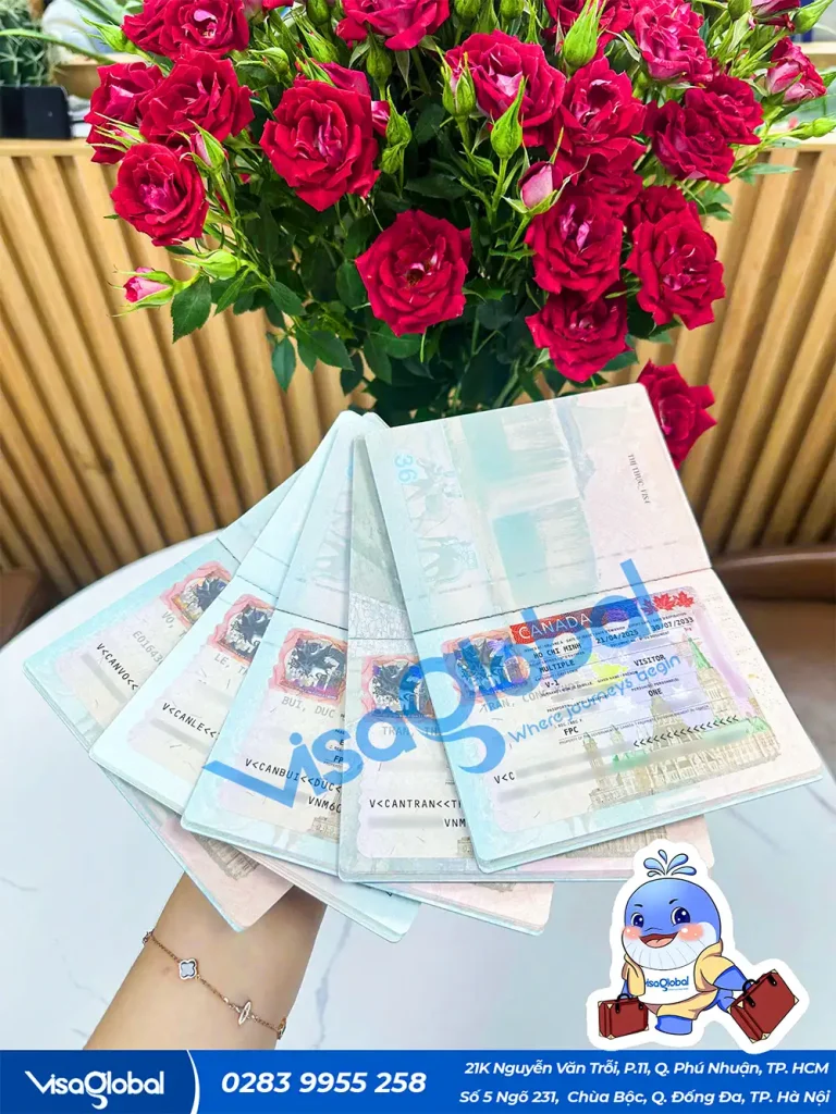 Kiểm tra tỷ lệ đậu visa