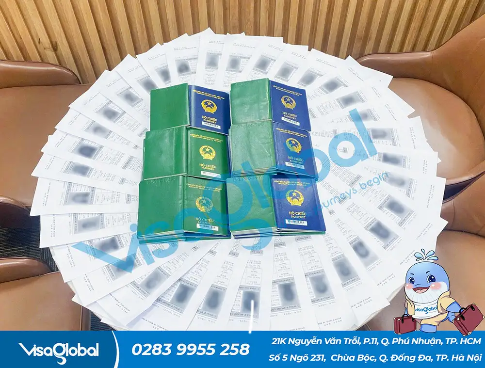 Kiểm tra tỷ lệ đậu visa