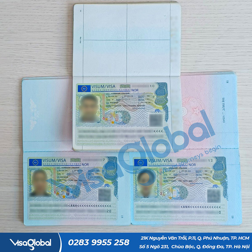 Kiểm tra tỷ lệ đậu visa