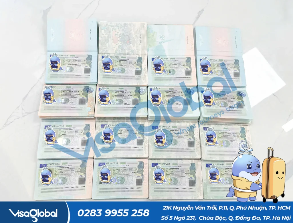 Kiểm tra tỷ lệ đậu visa