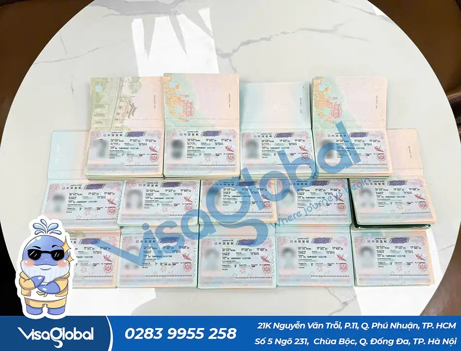 Kiểm tra tỷ lệ đậu visa