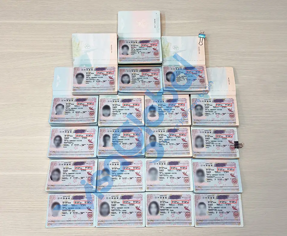 Kiểm tra tỷ lệ đậu visa