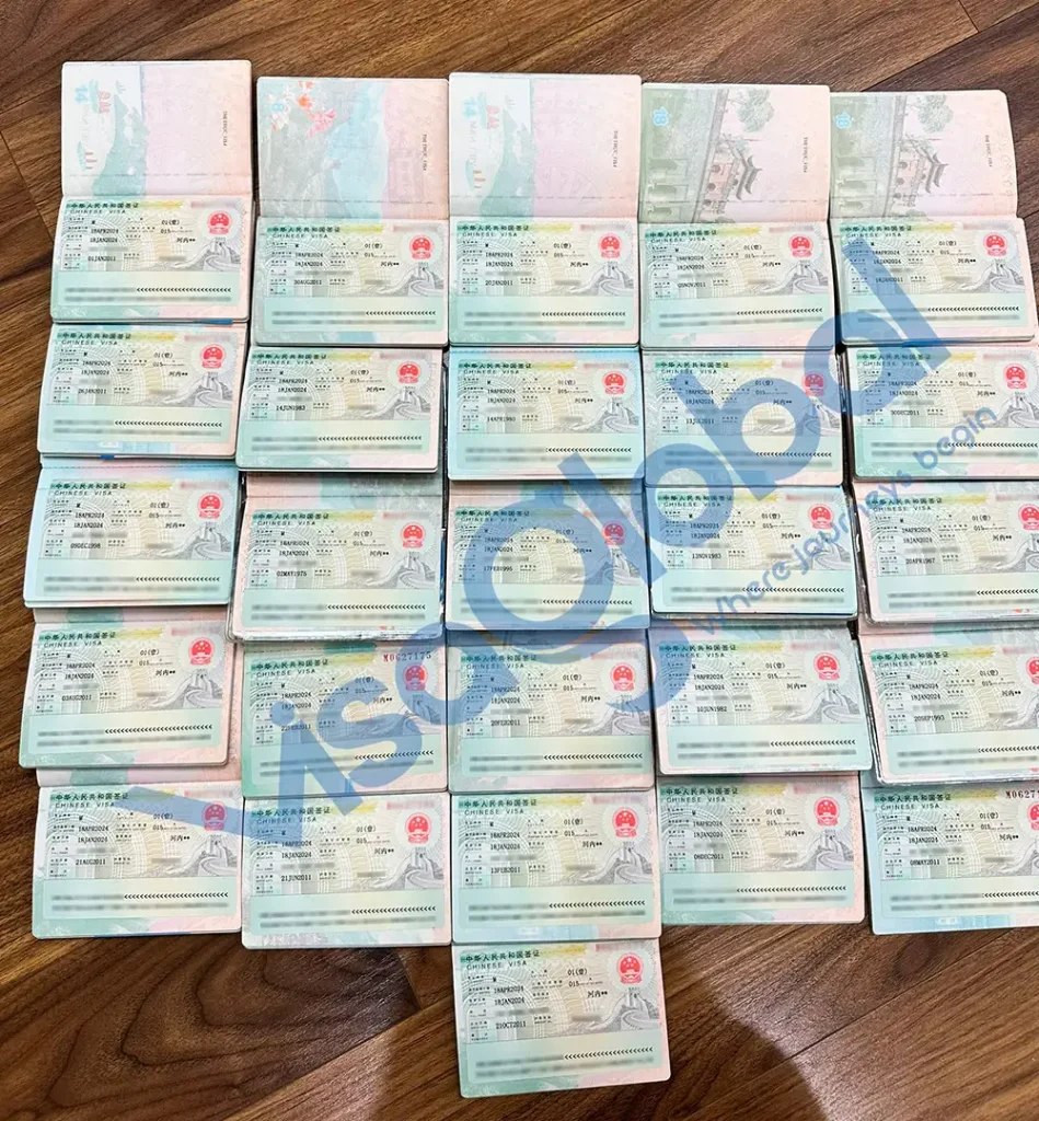 Kiểm tra tỷ lệ đậu visa