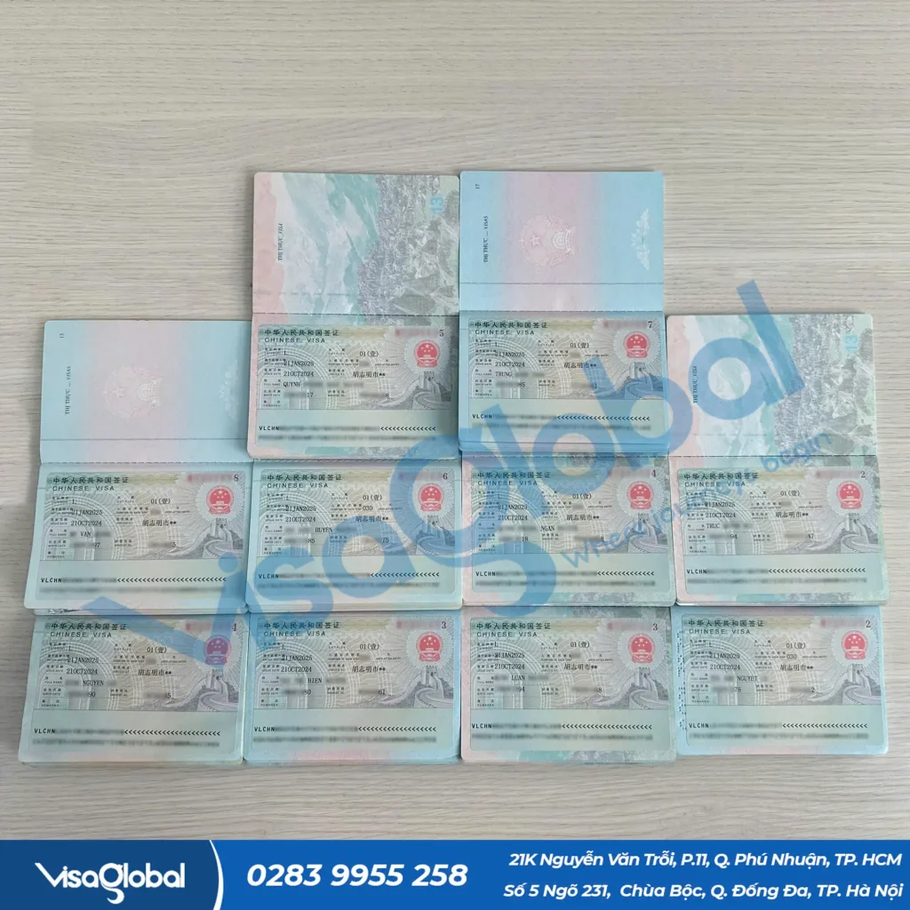 Kiểm tra tỷ lệ đậu visa