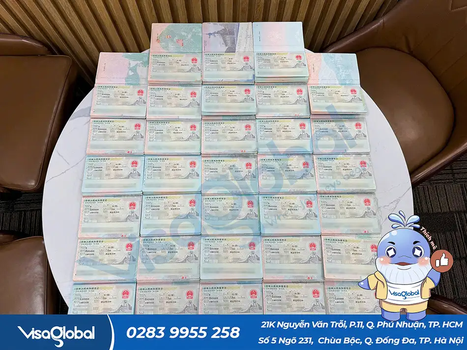 Kiểm tra tỷ lệ đậu visa