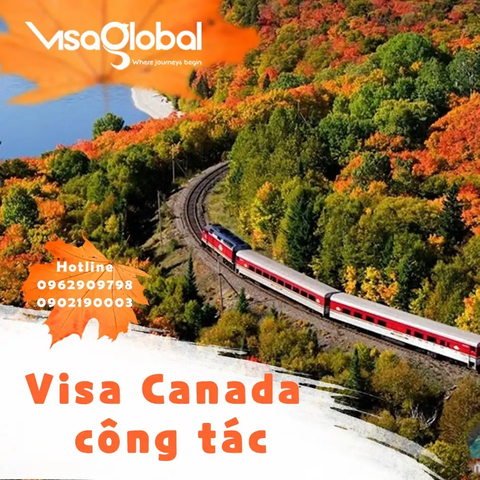 Kiểm tra tỷ lệ đậu visa