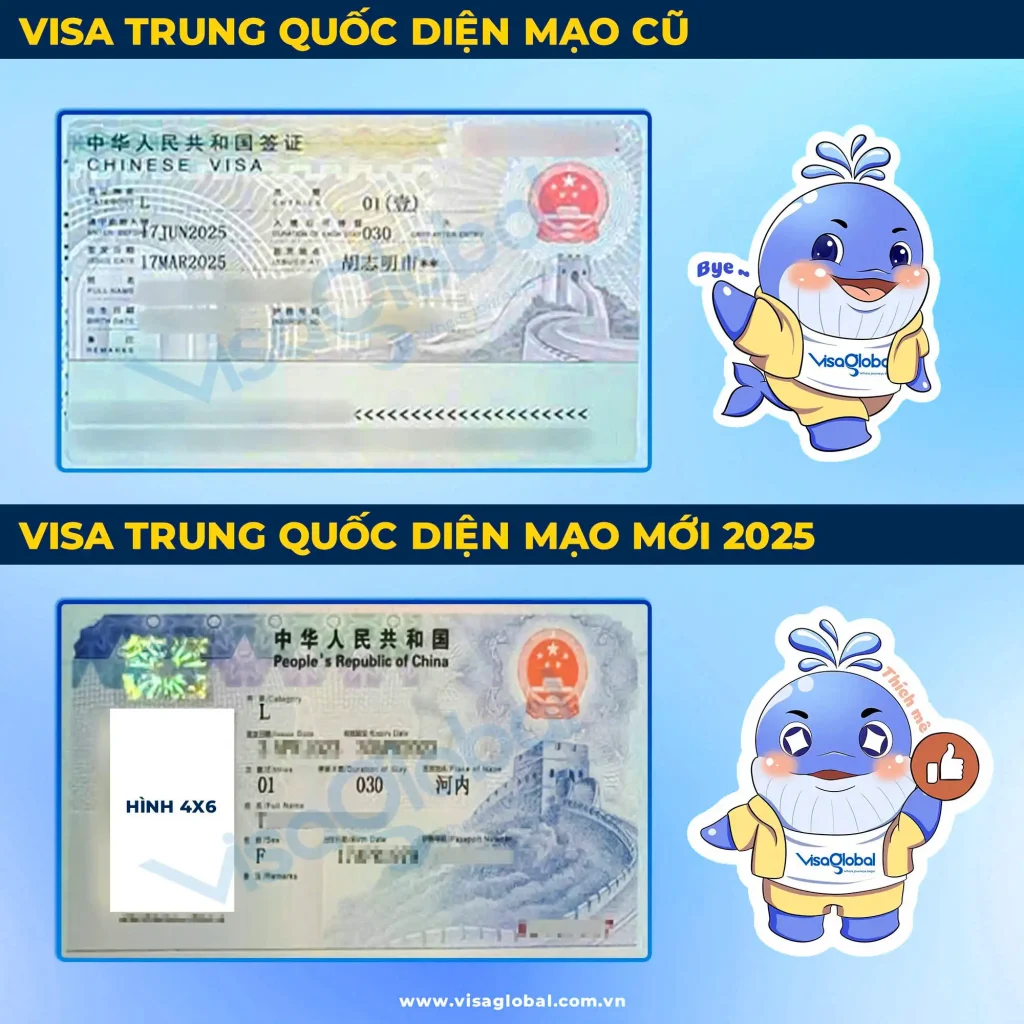 Kiểm tra tỷ lệ đậu visa