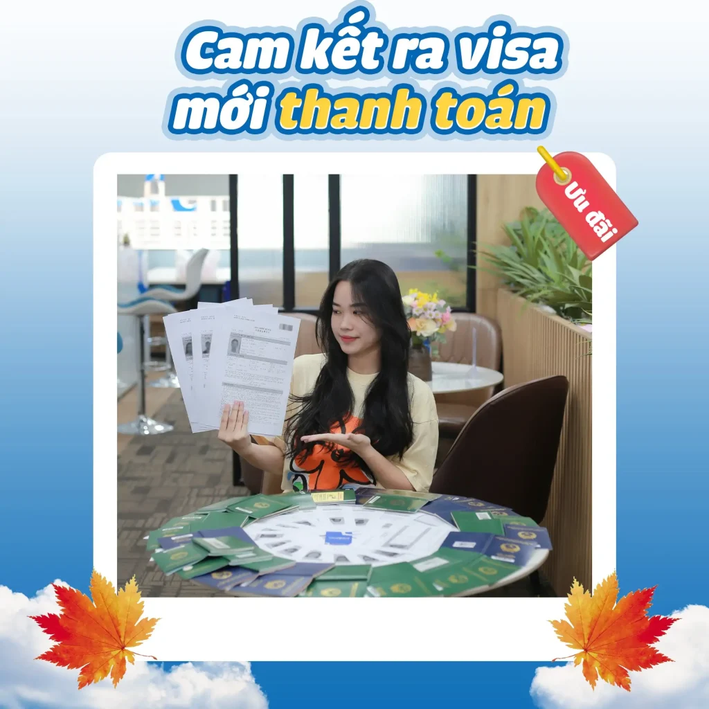 Kiểm tra tỷ lệ đậu visa