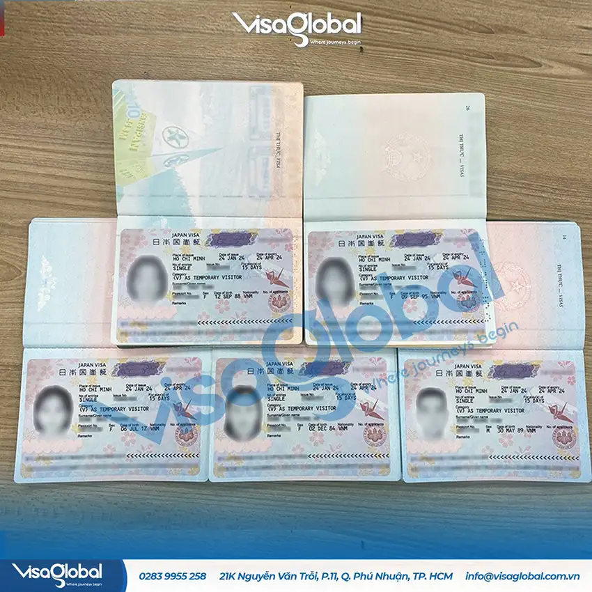 Kiểm tra tỷ lệ đậu visa