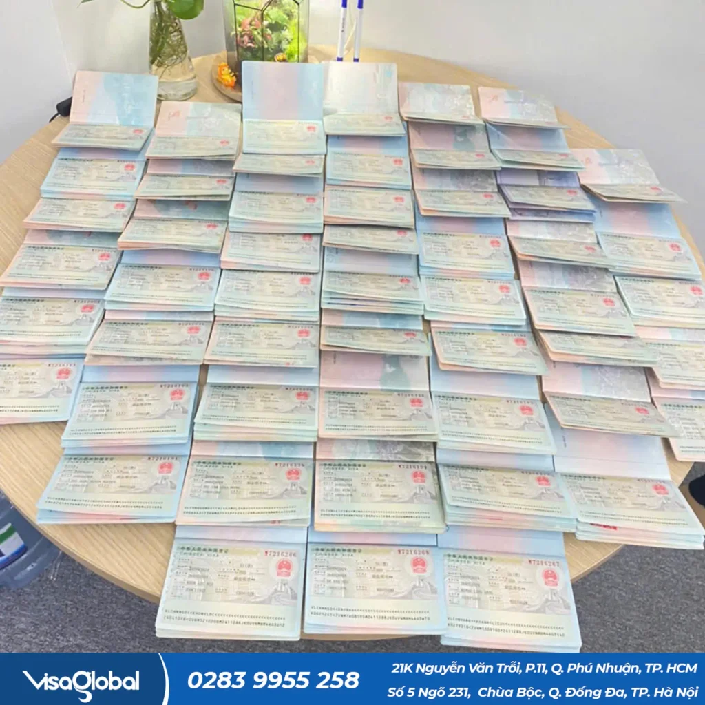 Kiểm tra tỷ lệ đậu visa