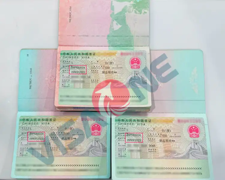 Kiểm tra tỷ lệ đậu visa