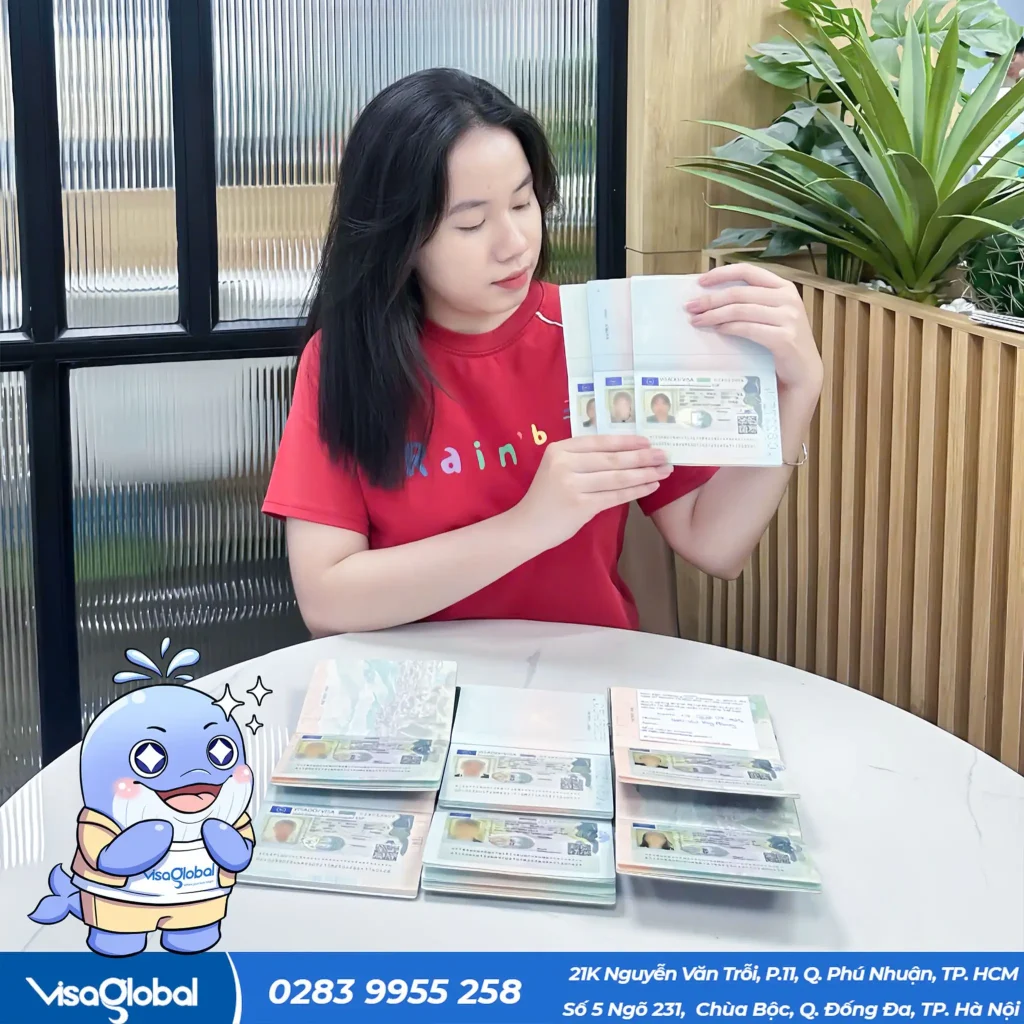 Kiểm tra tỷ lệ đậu visa