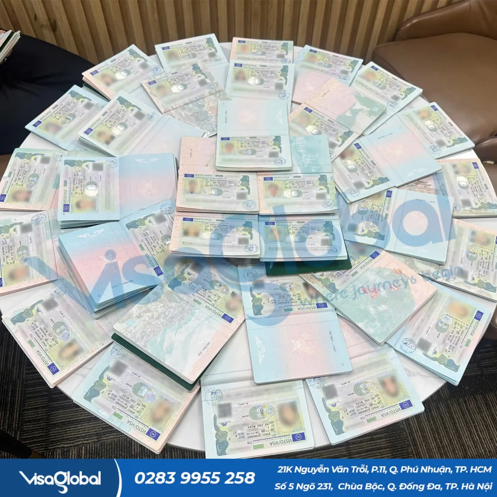 Kiểm tra tỷ lệ đậu visa